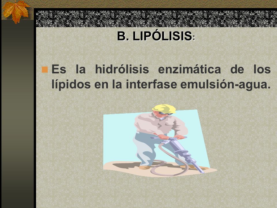 localizacion celular de la lipolisis